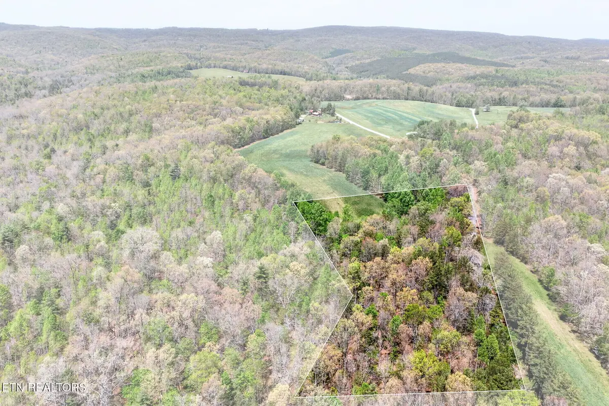 4 Smith Mountain Rd, Rockwood, TN 37854 - #1