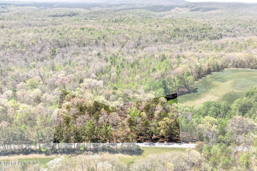 4 Smith Mountain Rd, Rockwood, TN 37854 - #2