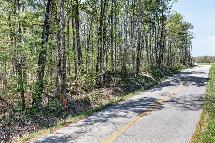 4 Smith Mountain Rd, Rockwood, TN 37854 - #3