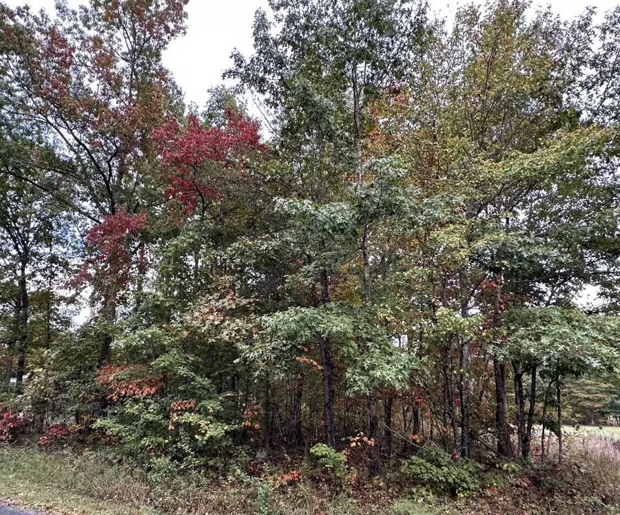 7000 Topez Drive, Crossville, TN 38572 - #2