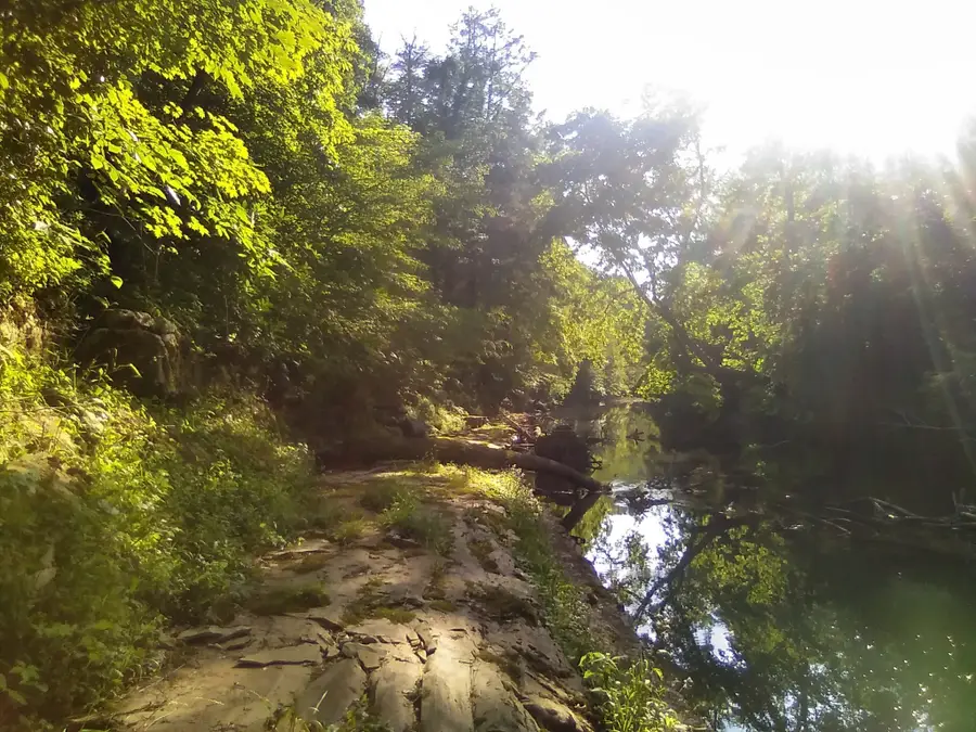 2359 Mack Floyd Rd, Sparta, TN 38583 - #3