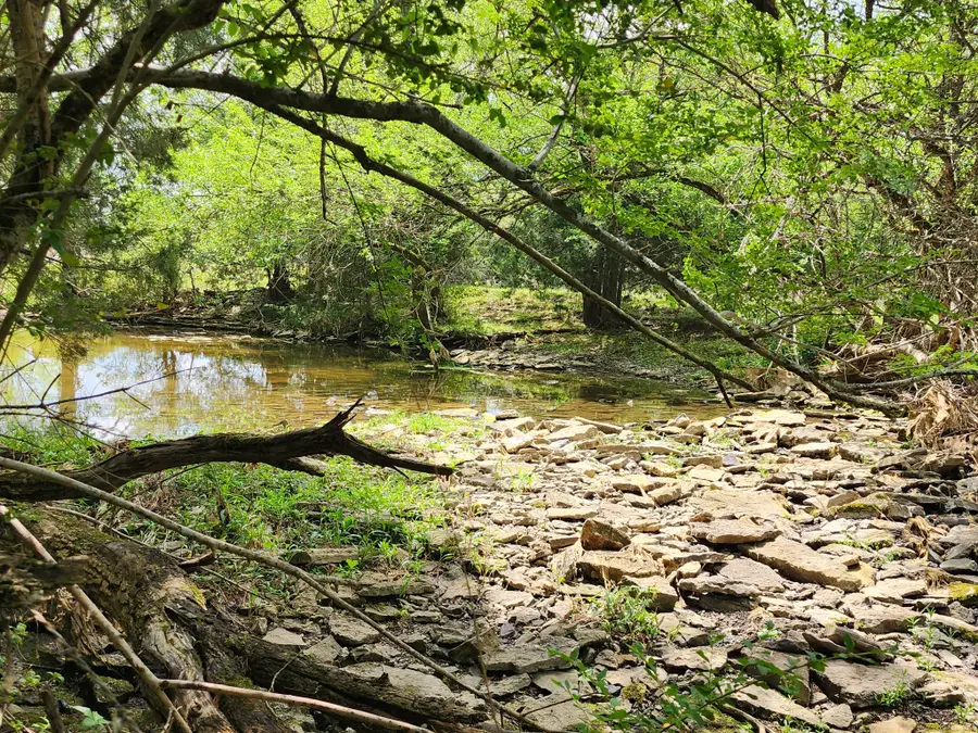 0 Murray Kittrell Rd, Readyville, TN 37149 - #3