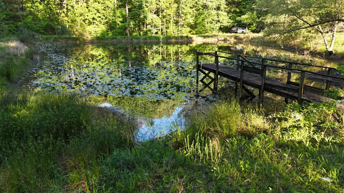 805 Pate Rd, Huntingdon, TN 38344 - #1