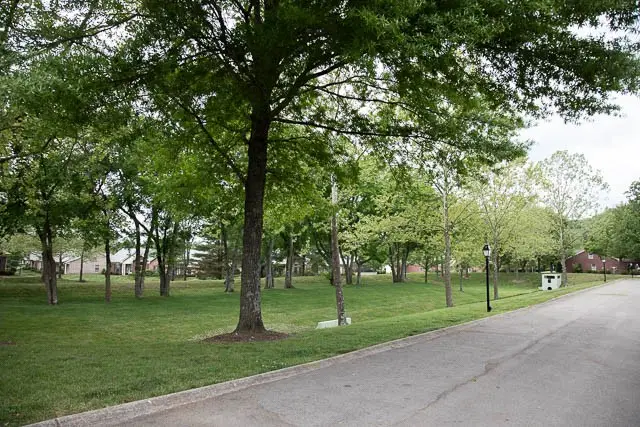 7037 Sunrise Cir, Franklin, TN 37067 - #3