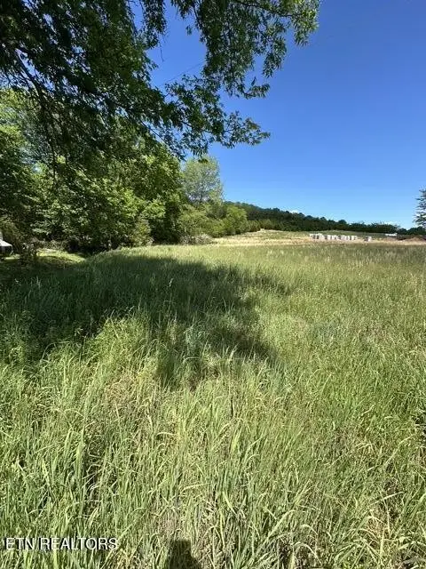 789 Smith Bend Lane, Gainesboro, TN 38562 - #2