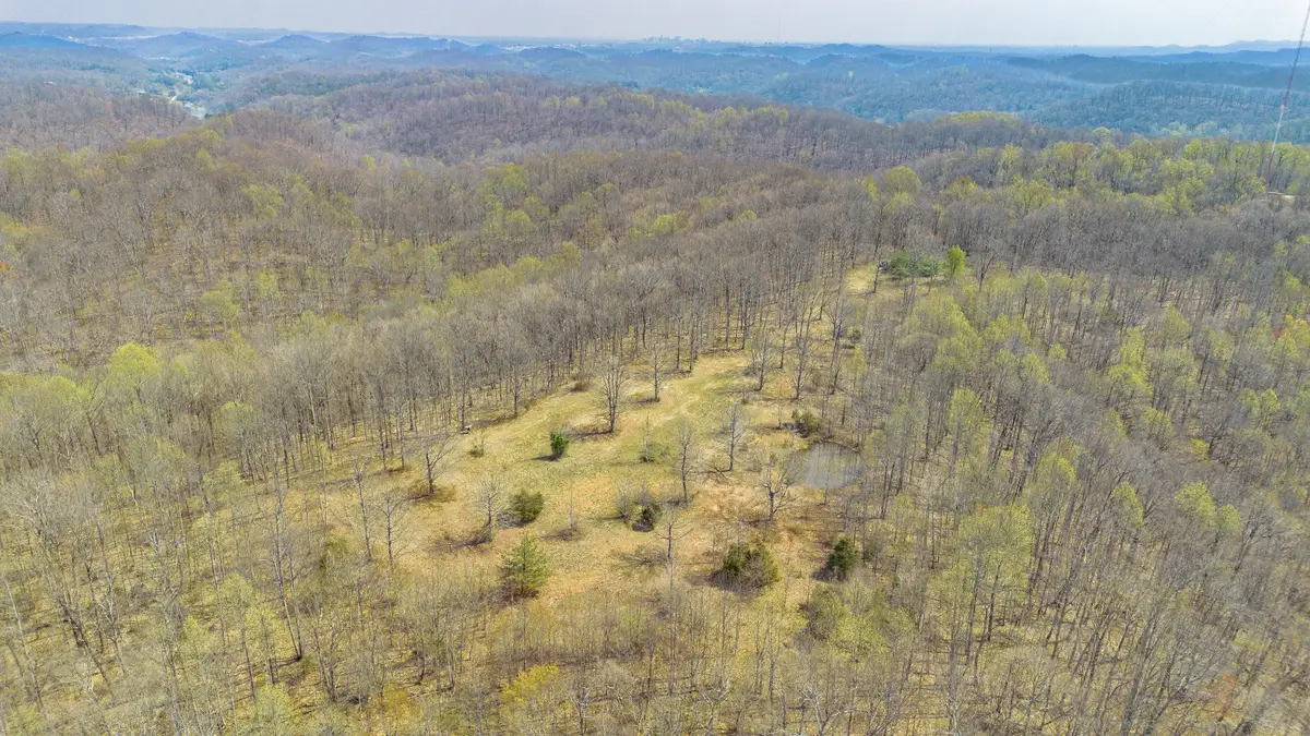 8234 Old Pond Creek Rd, Pegram, TN 37143 - #1