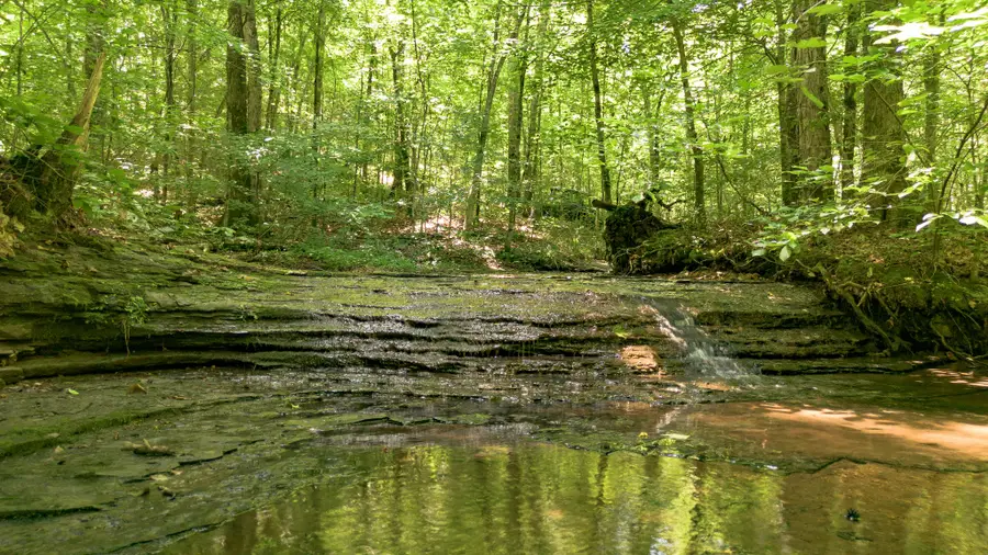 8234 Old Pond Creek Rd, Pegram, TN 37143 - #2