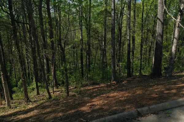0 Elm Lane Lot 16 Lane, Sweetwater, TN 37874