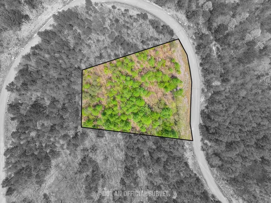 0 Overlook Drive, Spencer, TN 38585 - #2