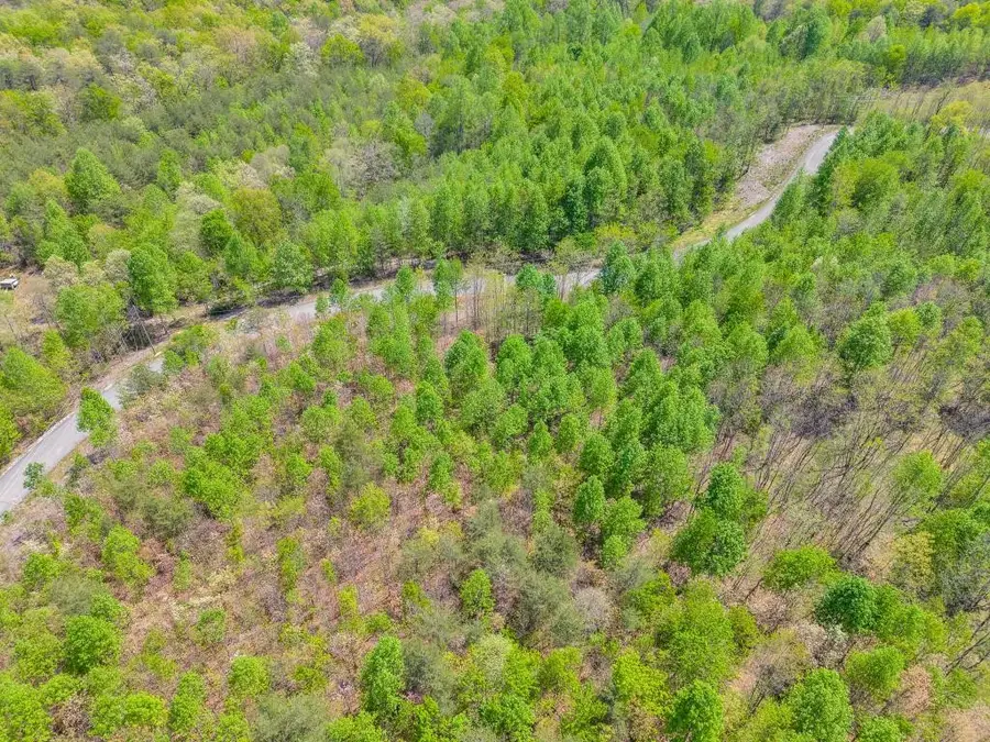 0 Overlook Drive, Spencer, TN 38585 - #3