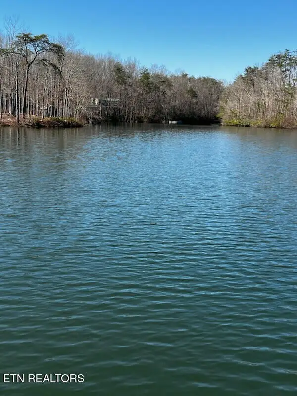 41 Crystal Point, Monterey, TN 38574 - #1