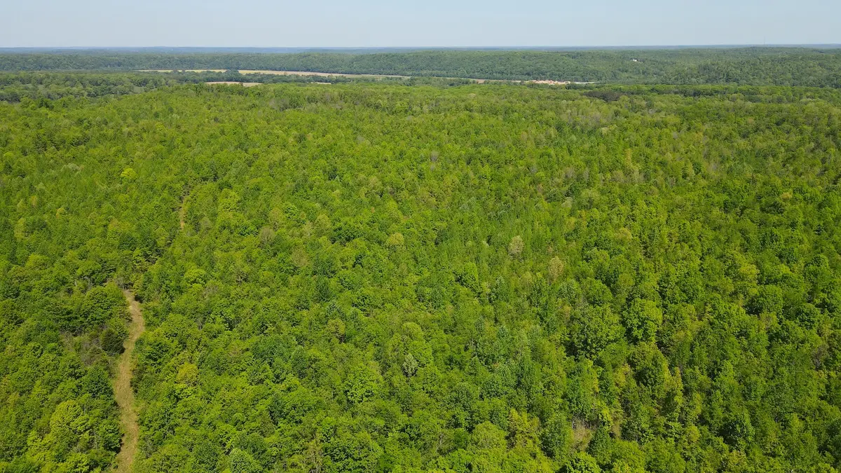 0 Gauging Station Ln, Hurricane Mills, TN 37078 - #1