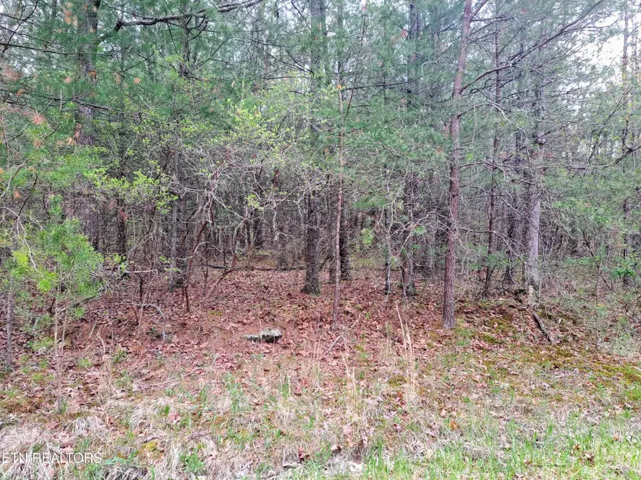 927 Paola Drive, Crossville, TN 38572 - #3