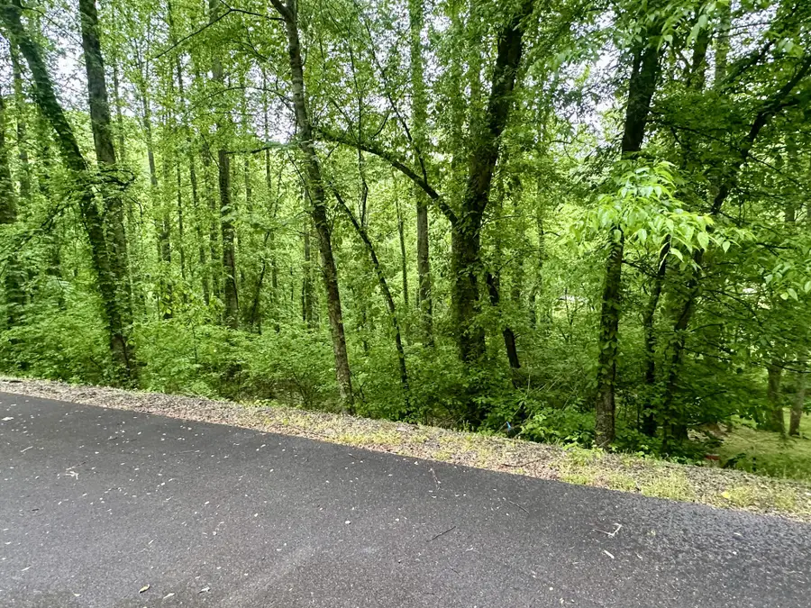 0 Baymont Dr, Lancaster, TN 38569 - #2