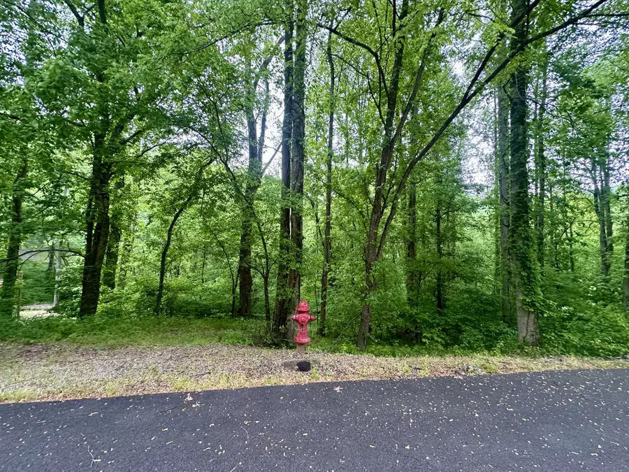 0 Baymont Dr, Lancaster, TN 38569 - #3