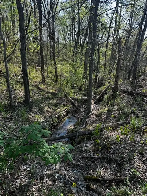 473 Hickory Corner Rd, Bethpage, TN 37022 - #3