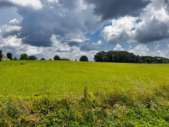 0 Old Holders Cove Rd, Winchester, TN 37398 - #2