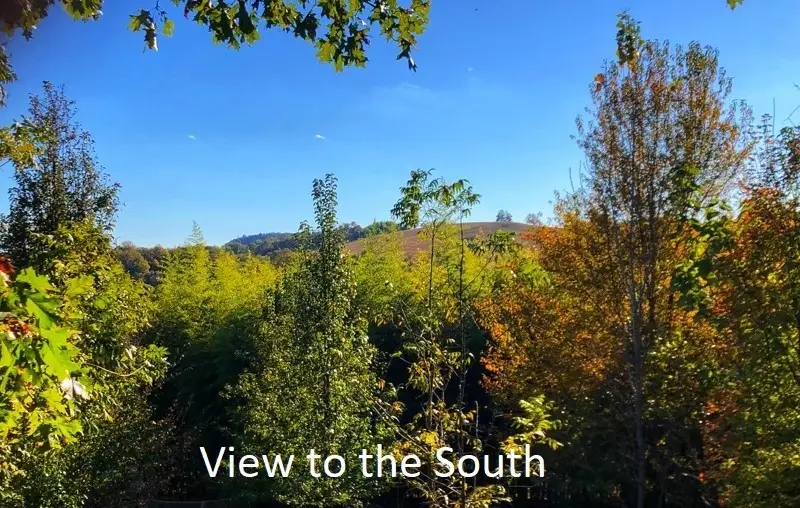 0 New Lake Road, Lewisburg, TN 37091 - #3