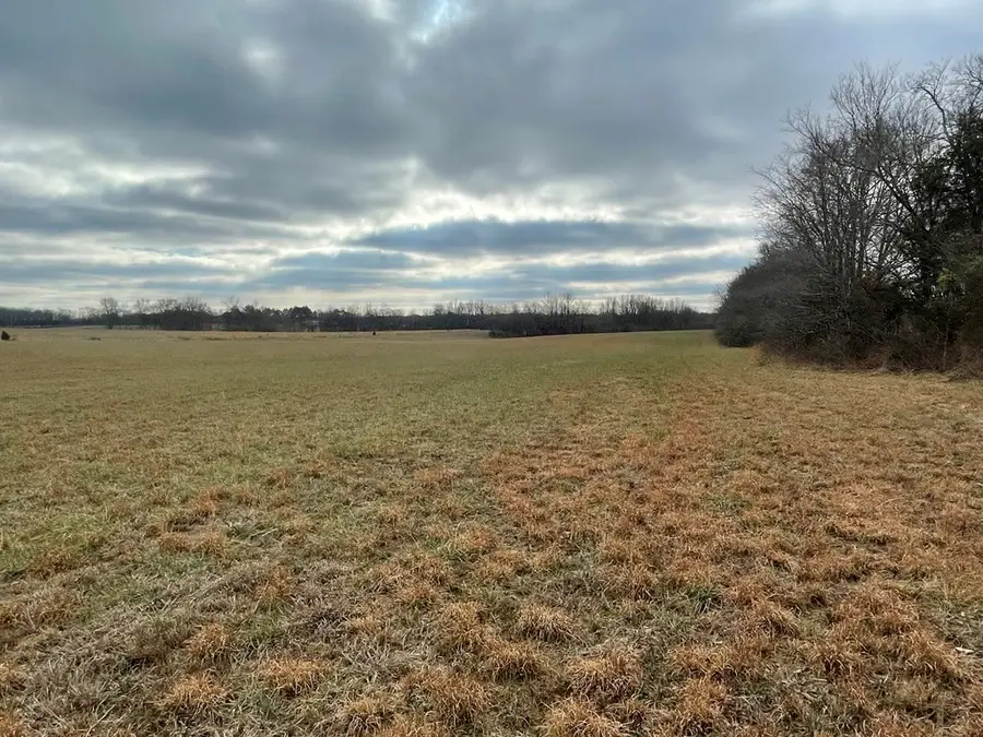 0 Sulphur Creek Rd, Big Sandy, TN 38221 - #2