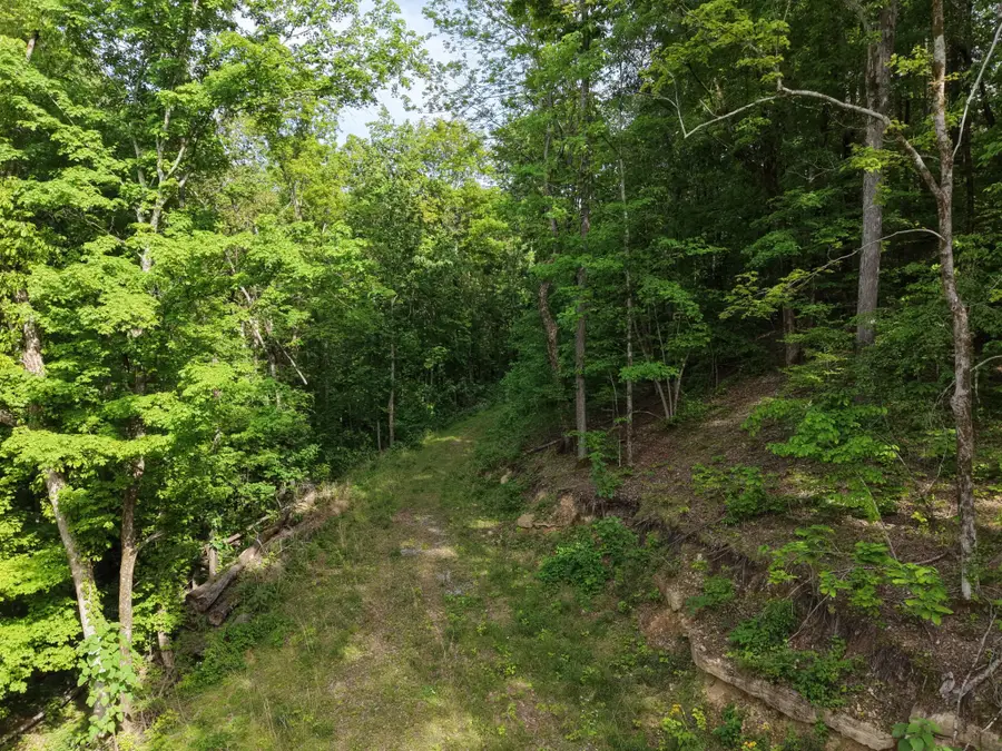 0 Bethel Rd, Pulaski, TN 38478 - #3