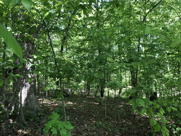 0 Devin Dr, Lawrenceburg, TN 38464