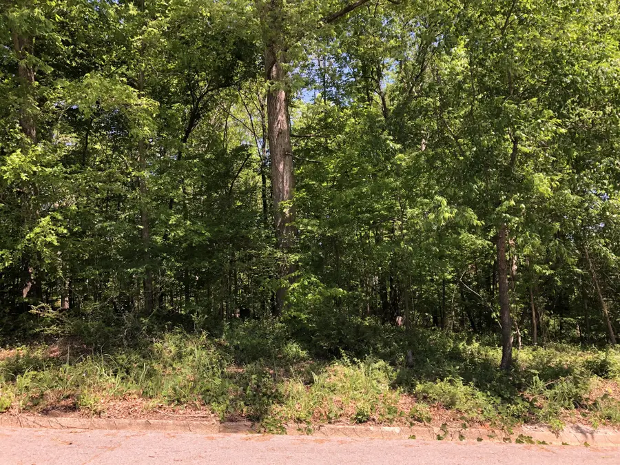 0 Devin Dr, Lawrenceburg, TN 38464 - #3