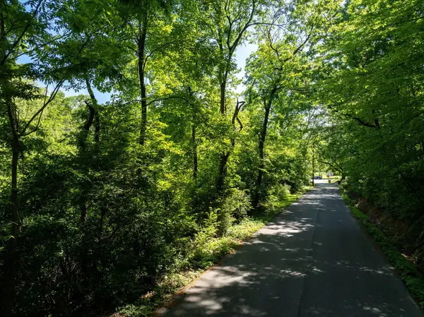 0 New York Avenue, Chattanooga, TN 37406