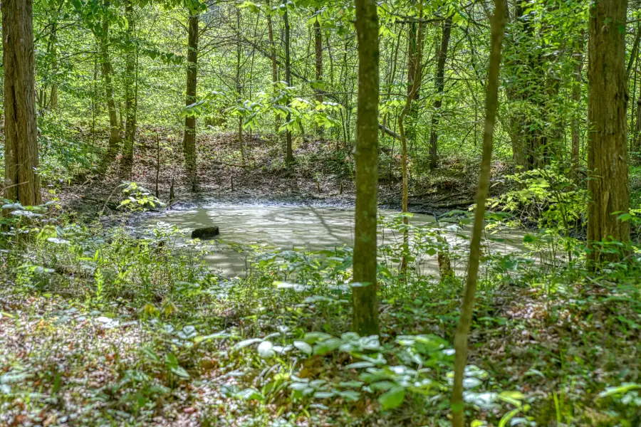 299 Poor House Hollow Ln, Gainesboro, TN 38562 - #3