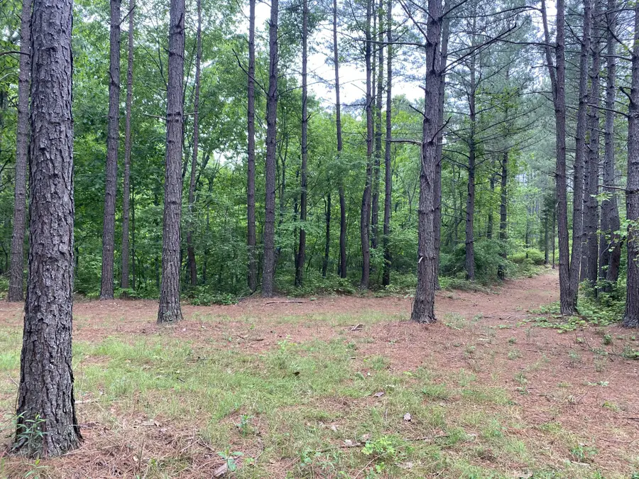 2355 Richland Harbor Rd, Waverly, TN 37185 - #2