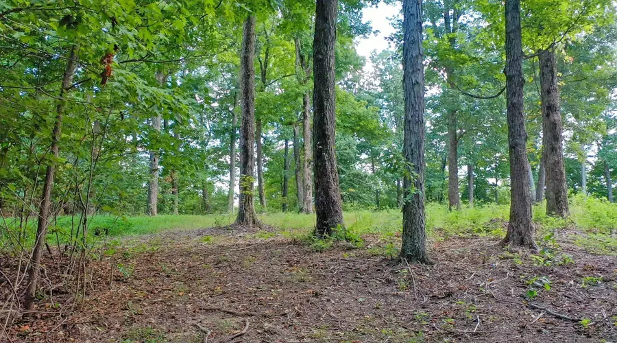 7659 Burks Rd, Christiana, TN 37037 - #2