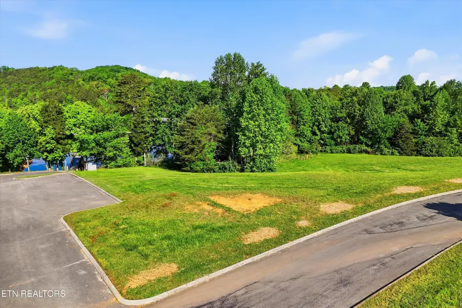 261 White Swan Drive, Vonore, TN 37885 - #2