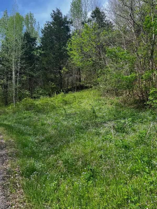 0 Weber Lane, Celina, TN 38551