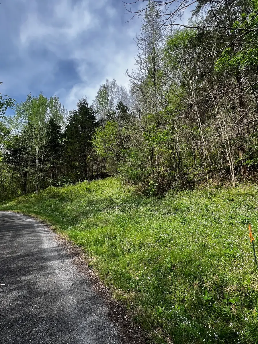 0 Weber Lane, Celina, TN 38551 - #3