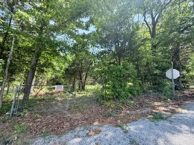 921 Eli Rd, Bon Aqua, TN 37025 - #3