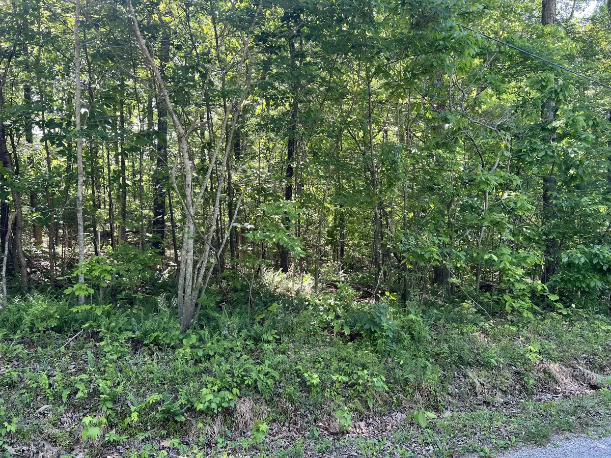 114 Swan Bay Estates Road, Buchanan, TN 38222 - #1