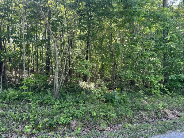 114 Swan Bay Estates Road, Buchanan, TN 38222