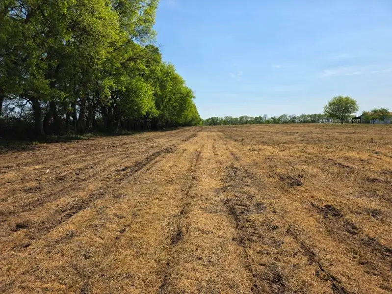 3 Old Zion Rd, Columbia, TN 38401 - #3