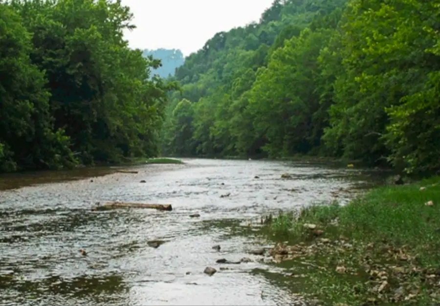 364 Lock Ln, Tazewell, TN 37879 - #3