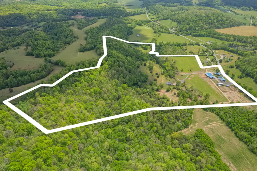 13546 Campbellsville Rd, Lynnville, TN 38472 - #3