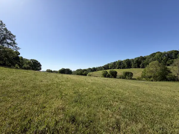 0 Steam Mill Hollow Road Tract 1, Williamsport, TN 38487