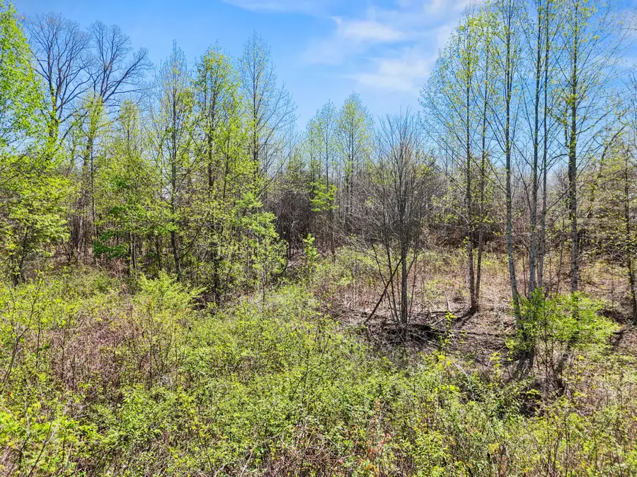 0 Grayson Way, Signal Mountain, TN 37377 - #3