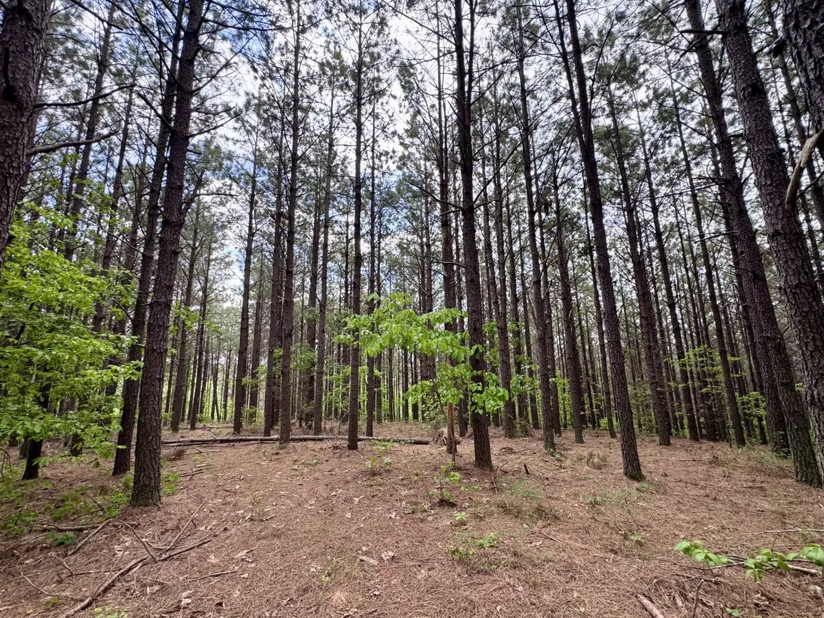 132 Rocky Top Dr, Hohenwald, TN 38462 - #1