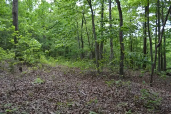 0 Forest Trail Lane, Celina, TN 38551
