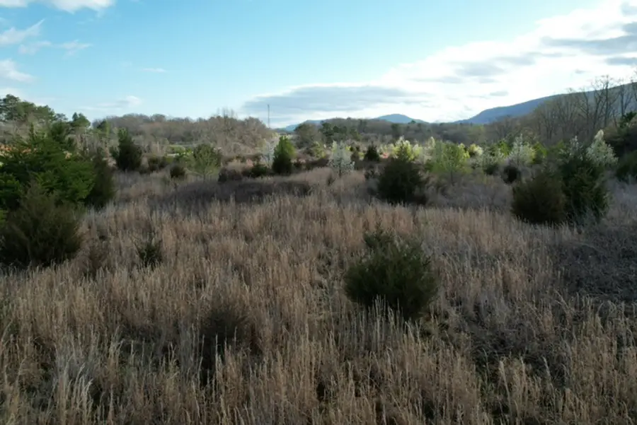 0 Us 411, Benton, TN 37307 - #2