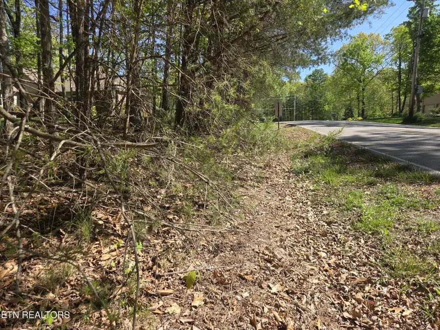 375 Rotherham Drive, Crossville, TN 38558 - #3