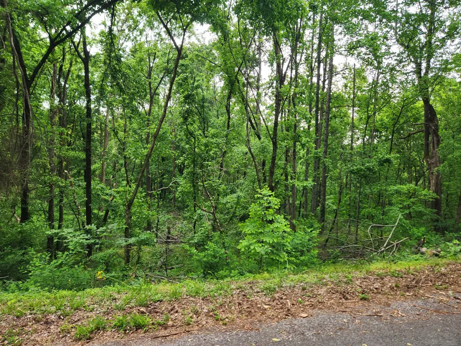 0 Thompson Hill Road, Bethpage, TN 37022 - #3