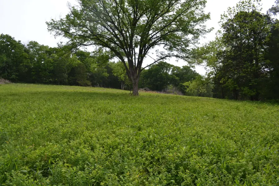 0 Gattistown Rd, Mulberry, TN 37359 - #3