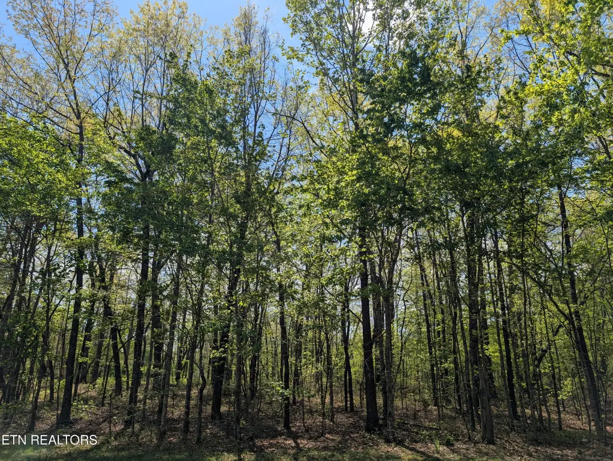 0 Cumberland Lakes Drive, Monterey, TN 38574 - #1