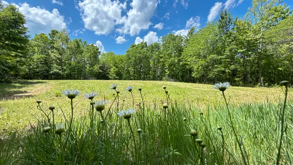 0 Hwy 100, Centerville, TN 37033