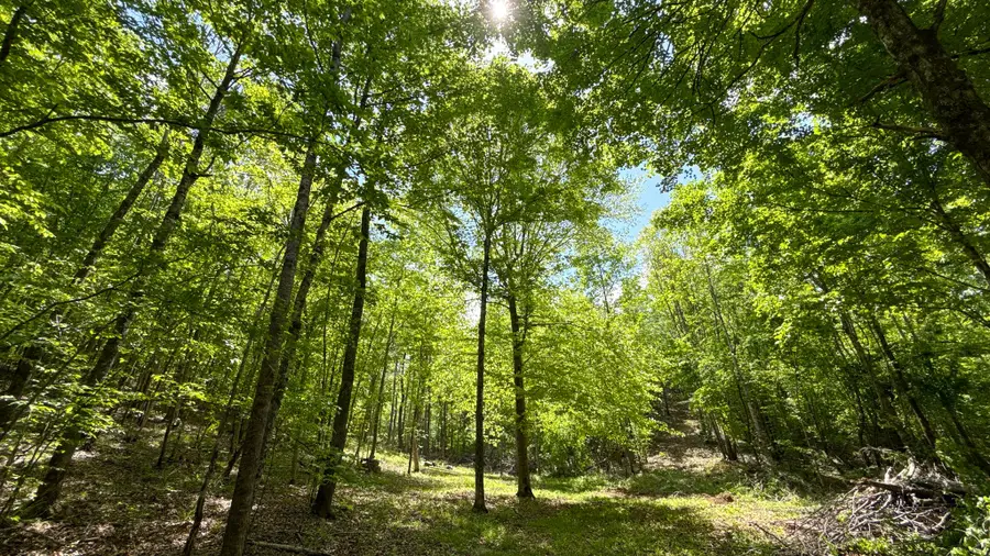 0 Hwy 100, Centerville, TN 37033 - #3